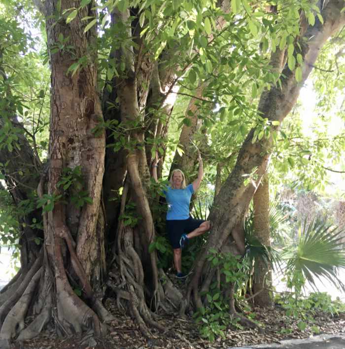 Lynn Horan doing tree pose in an actual tree